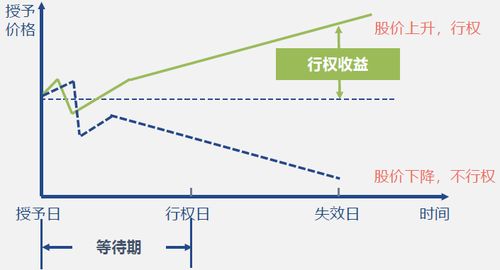 公司期权是指什么