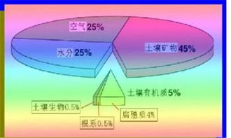 碳氢科学1200问之006组 从环球褐藻门到中国寒冷期