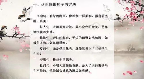 十大语文知识点,孩子想考高分,必看 学霸也说好 