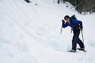 从雪山滚下来真的会因为雪越滚越大吗 