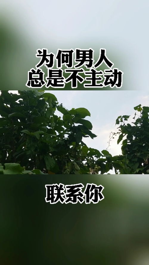 主动修复感情