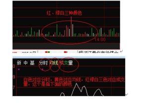 同花顺软件中分时走势中的黄白线分别是什么？