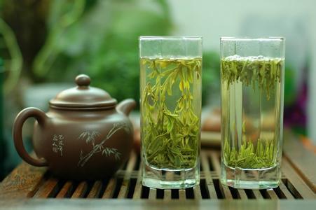 绿茶不要先放茶叶再倒水 想要茶香味浓,牢记这个绿茶 顺口溜