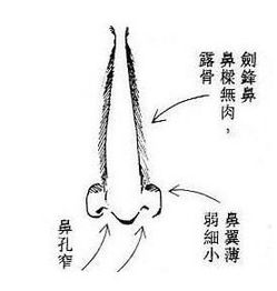 鼻梁露骨的人性格偏执 