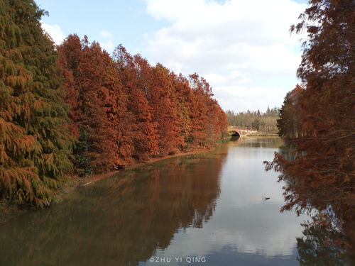 上海郊区必去景点,上海郊区游玩攻略必去的地方