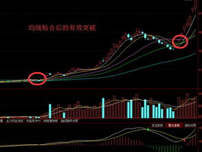 600252股票什么时候可以进入主升浪