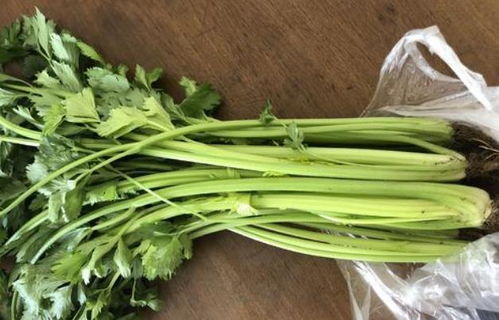 春季最该吃 6种野菜 ,遇到挖回家,每种都不一样的 补