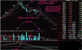 白云上A股票后市走势如何？