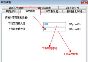 p2p终结者v3.40绿色