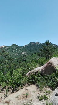 为盘山而来 蓟县两日游 