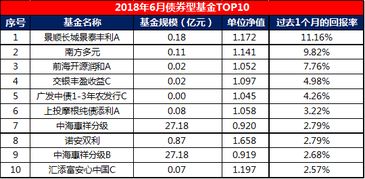 基金 近1个月回报 是什么意思