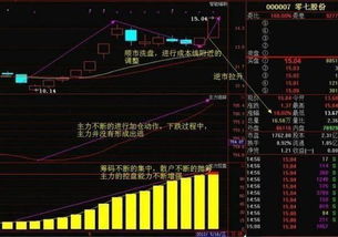 股市中的主力一般是什么人物？