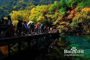 九寨沟旅游观赏红叶攻略