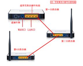 哪些因素会影响路由器信号的增强效果？