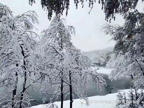 你在的城市下雪了吗 