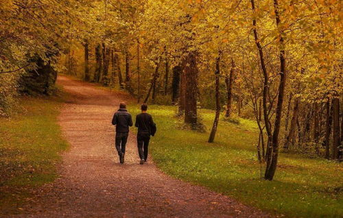 当散步成为一个人完成自我疗愈的方式 慢下来,发现生活,认识自己