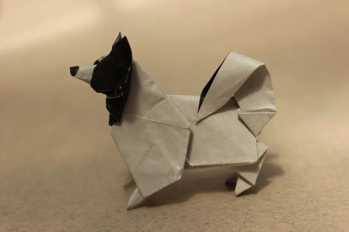 一张纸,折出一只小狗 折纸入门教程