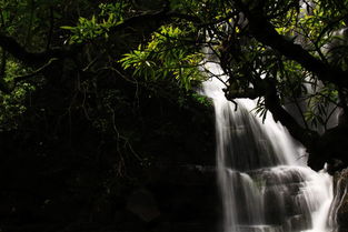 避暑好去处 广西蒙山山沟