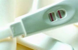 早早孕试纸多久能测出来，试纸多久能测出怀孕没