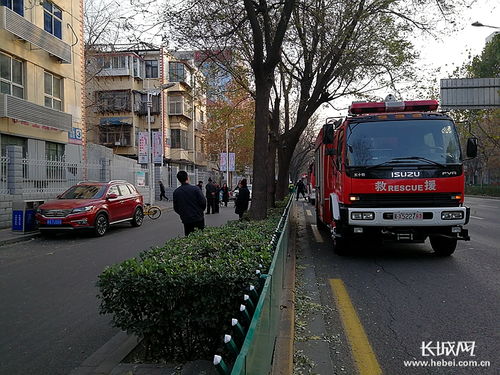 石家庄裕华区南焦玫瑰园附近有免费停车场吗(石家庄大街免费停车场在哪)