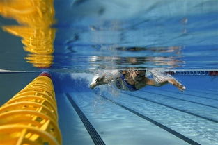 从水底看奥运会选手 那画面太美 