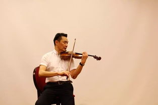 唐养身提琴(唐养身提琴：探寻音乐之魂，绽放艺术之美！)