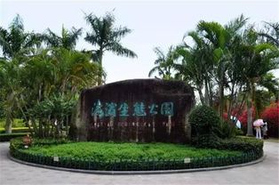 深圳红树林公园