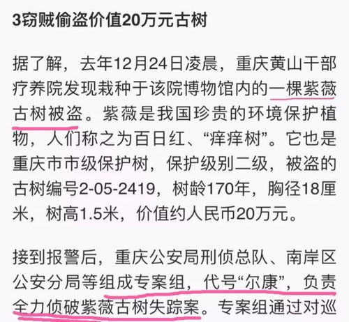 辩论赛150字范文  愚公和智叟再次相遇会说什么150字？