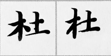 每日一字 杜 