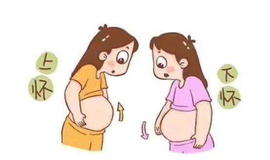同是孕妇,为啥肚形会不同 无关宝宝性别,4点原因说明