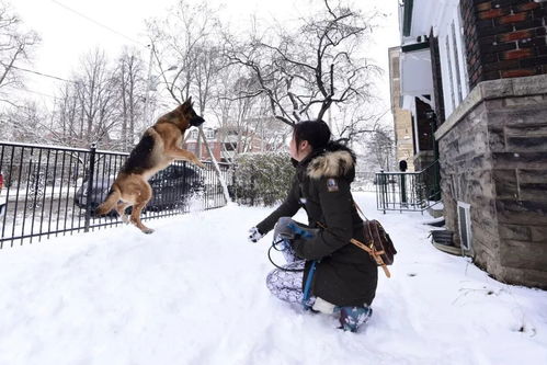 环球华报 大美温哥华 2020年的第一场雪