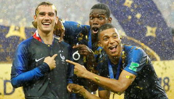 法国队缺战世界杯的球员,2022世界杯法国人员停赛吗