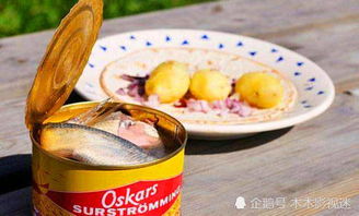 鲱鱼罐头又臭又难吃,为什么还不断生产 瑞典人 是你们不懂得吃 