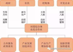 什么是政府社会职能它包括的主要内容有哪些(政府的社会职能主要有哪些简答题)