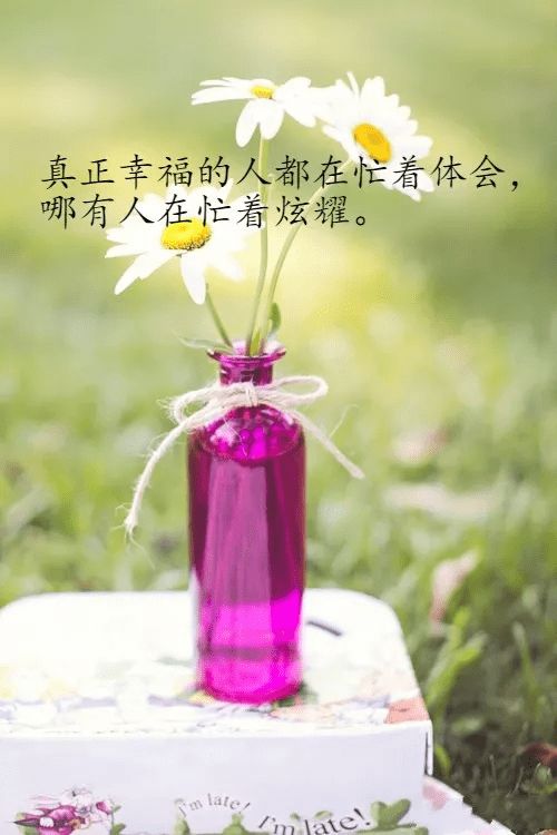 自己酿的果酒发朋友圈句子(自制果酒发朋友圈)