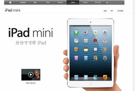 iPad mini亮相中国官网 行货售价已经曝光 