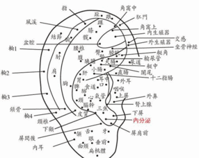 面相 耳朵有痣算命图解,全位置对照,看看你是哪一种 