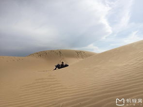 遨游天地间 相忘于江湖 沙漠之约