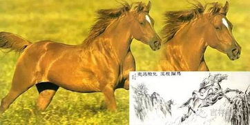 中国古代十大名马 