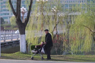 春节溜娃,咸宁这几个地方了解一下 带上孩子肆意玩