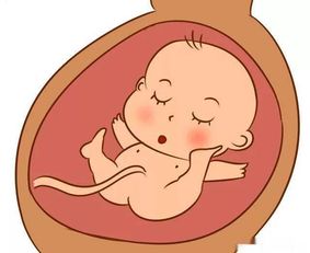 原创孕晚期，或许胎儿的“胎动”有这3个变化，孕妈早知道早了解