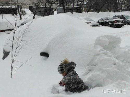 你最期待的下雪天是什么样子 