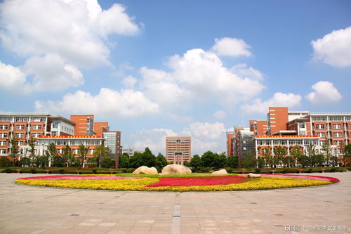 浙江10大重点大学排名