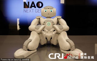 韩国丽水世博会多款机器人提前亮相 高清组图 