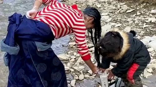 藏族母子冬天河边洗头,这么冷的天居然用河水洗,可见高原娃身体有多强壮 