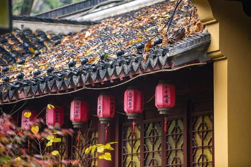 六朝古都南京,十朝都会,这个人杰地灵的地方,真的太震撼了