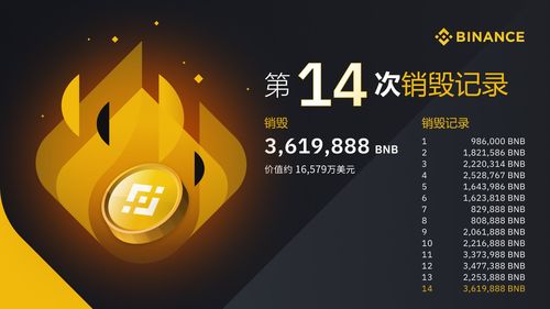 bnb未来会涨到10万一个吗