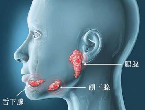 甄女士 口干 寻病因,核医学 唾液腺功能显像 来指路