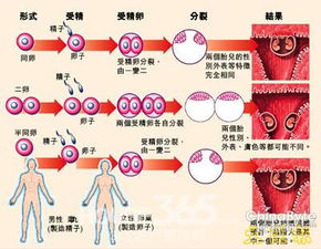 广州一裸男用利器当街自宫 嫌生殖器 短小细 