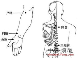 穴位按摩防治感冒 告你超管用的几大穴位 